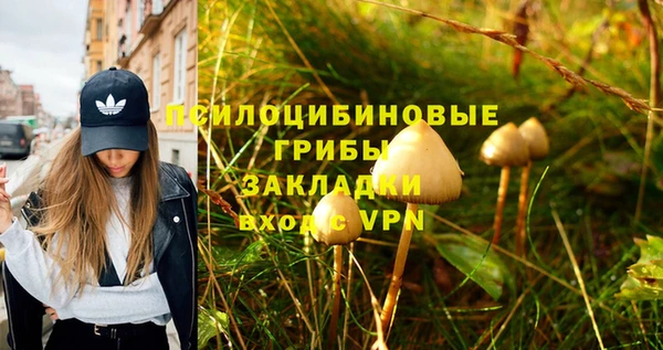 МДМА Алексеевка