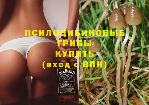 прущие крисы Каменногорск