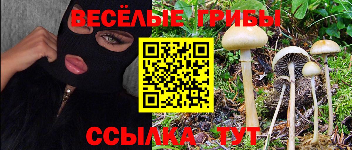  COCAIN Лянтор