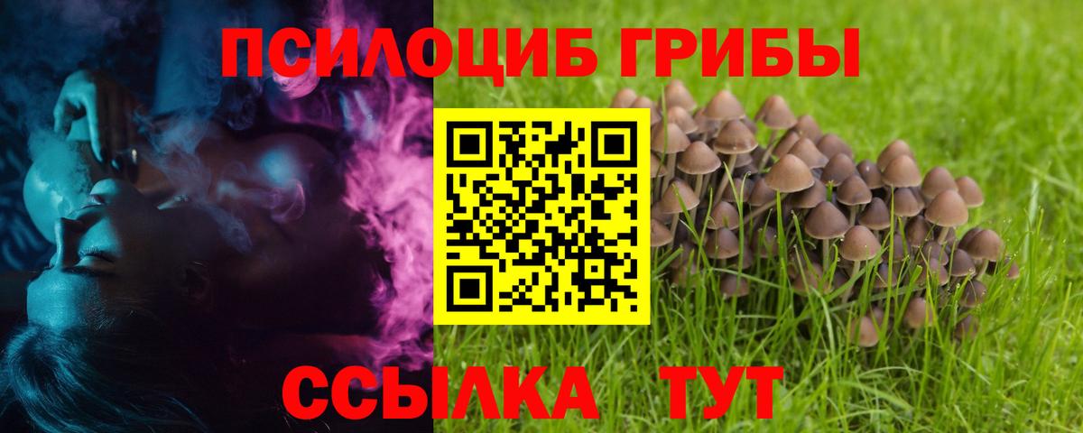 Псилоцибиновые грибы мухоморы Лянтор